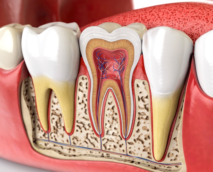 Root Canals in Round Rock, TX - Chandler Creek Dental Care